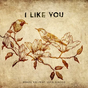 I Like You by Brazil XXI