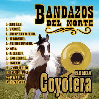 Bandazos Del Norte by Banda Coyotera