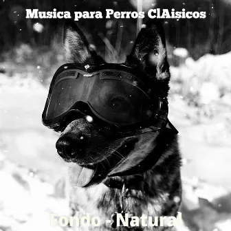 Fondo - Natural by Musica para Perros ClAisicos