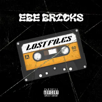 Lost Files by EBE Bricks