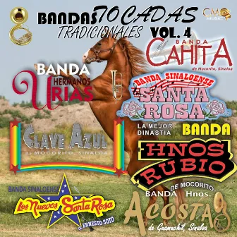 Bandas Tocadas Tradicionales Vol. 4 by Banda Santa Rosa