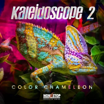 Kaleidoscope 2: Color Chameleon by Chase Ryan Taylor