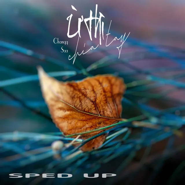 Ừ Thì Chia Tay (Zuka Remix) - Sped Up