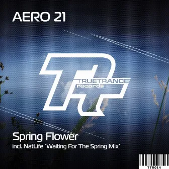 Spring Flower by Aero 21