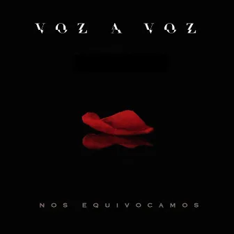 Nos Equivocamos by Voz A Voz