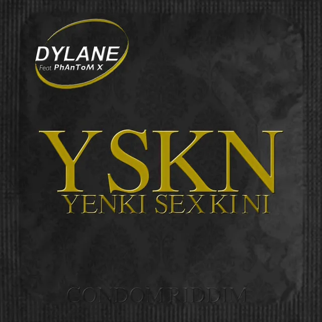 Yenki sex ki ni - YSKN