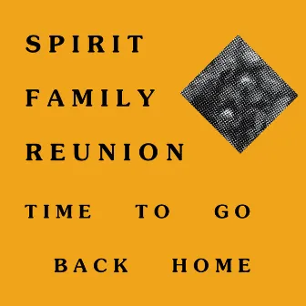 Time to Go Back Home by Spirit Family Reunion