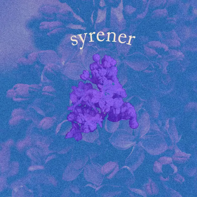 Syrener - Akustisk