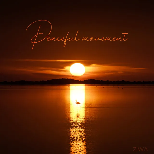 Peaceful Movement