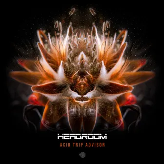 Acid Trip Advisor by Headroom (SA)