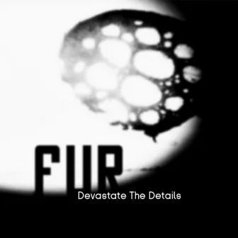 Devastate the Details by Fur