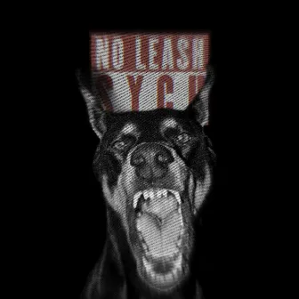 No Leash by SYCH