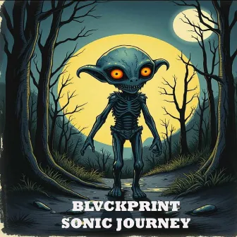 Sonic Journey by Blvckprint