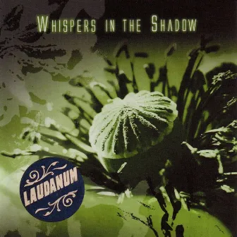 Laudanum by Whispers In The Shadow