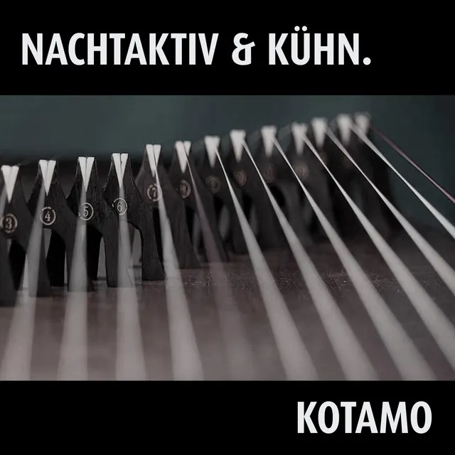 Kotamo