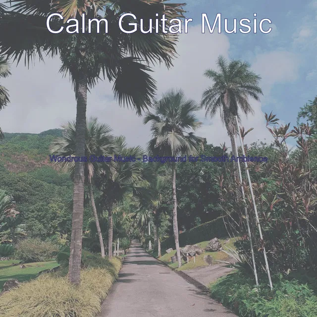 Wondrous Guitar Music - Background for Smooth Ambience