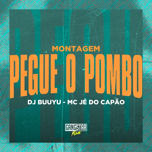 Montagem Pegue o Pombo