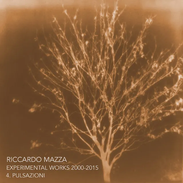 Experimental Works 2000-2015: Pulsazioni (Disk 4)