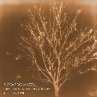 Experimental Works 2000-2015: Pulsazioni (Disk 4) by Riccardo Mazza