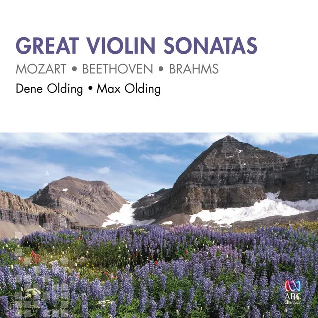 Violin Sonata in F Major, Op. 24 "Spring": IV. Rondo: Allegro ma non troppo