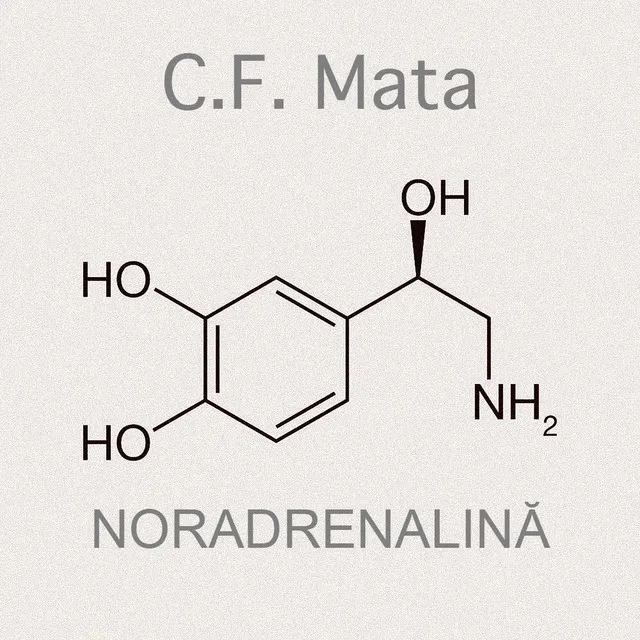 NORADRENALINĂ