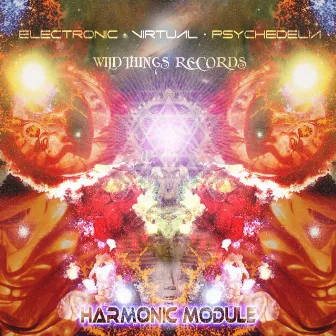 Harmonic Module by E.V.P