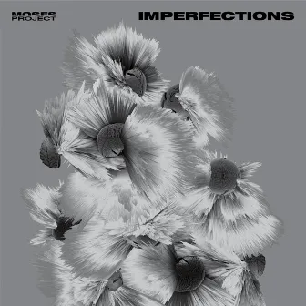 Imperfections (Moses Project) by Guy Moses