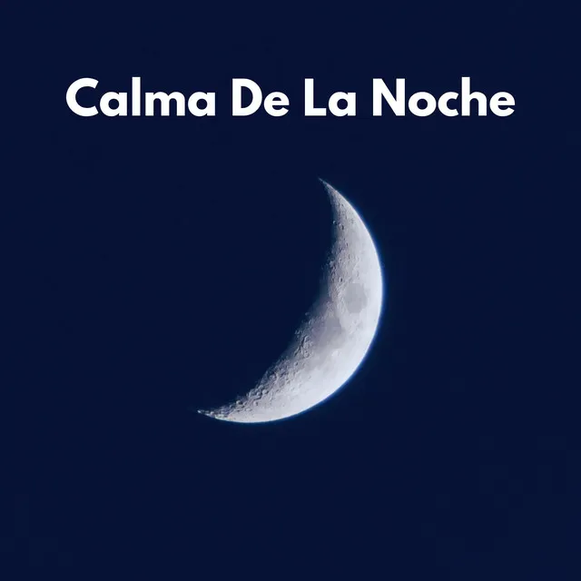 Calma De La Noche