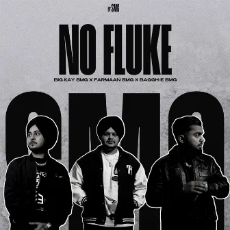 No Fluke by Baggh-e SMG