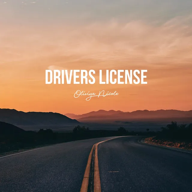 Drivers License