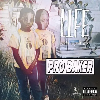 Life Under a Pear Tree by Pro Baker