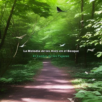 La Melodía de las Aves en el Bosque by El Cantar de los Pájaros