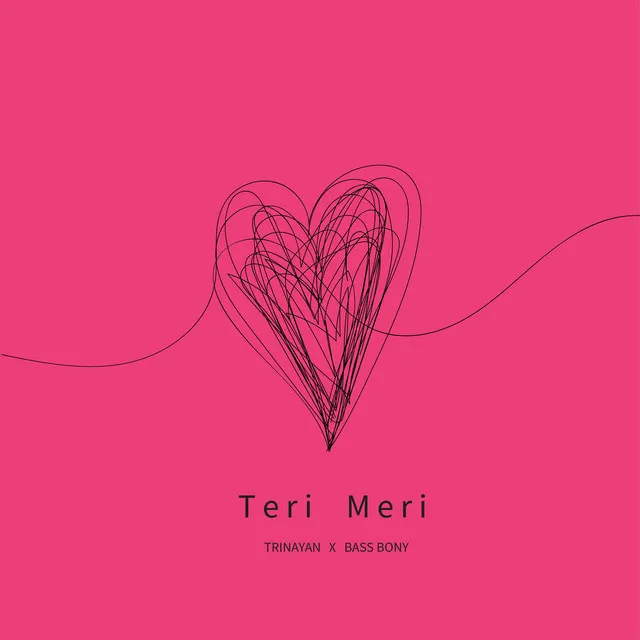 Teri Meri