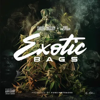 Exotic Bags by Ari Hotep