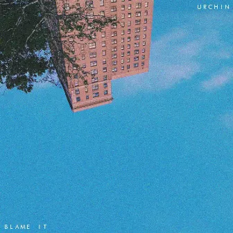 Blame It by Urchin