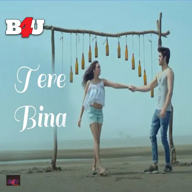 Tere Binaa