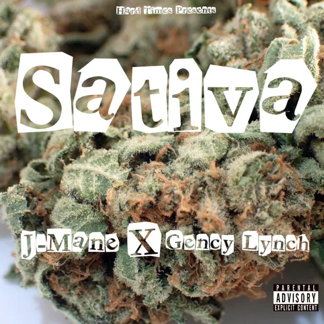 Sativa