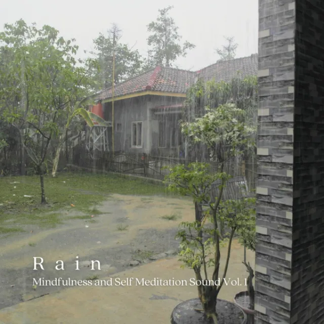 Rain: Mindfulness and Self Meditation Sound Vol. 1