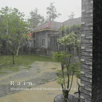 Rain: Mindfulness and Self Meditation Sound Vol. 1 by Spa Collective