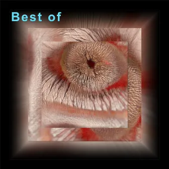 Best Of by Alter Woo