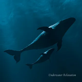 Underwater Relaxation by Whales Sample