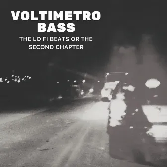 The Lo Fi Beats or the Second Chapter by Voltimetro Bass