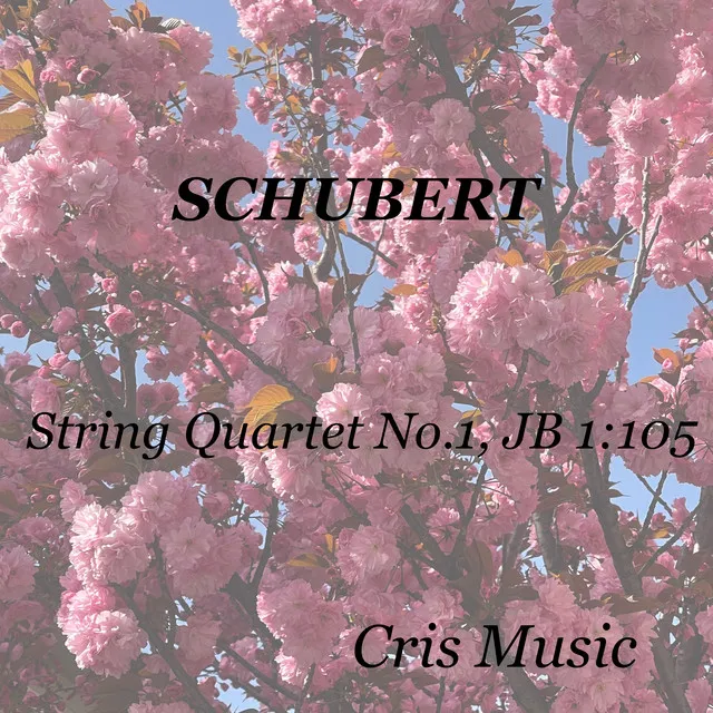 Smetana: String Quartet No.1, JB 1:105