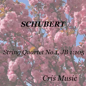 Smetana: String Quartet No.1, JB 1:105 by Flonzaley Quartet