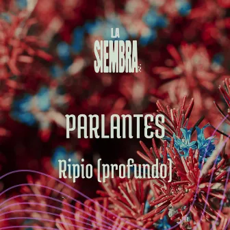 Ripio (Profundo) by Parlantes