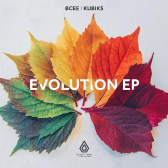 The Evolution EP by Kubiks