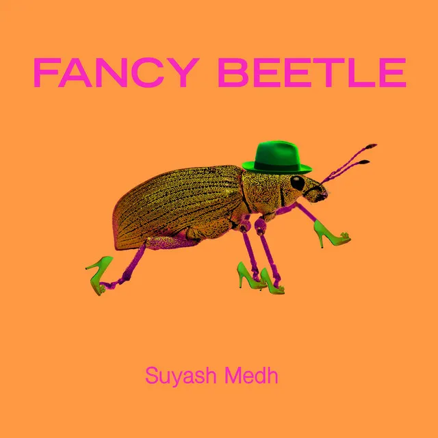 Fancy Beetle