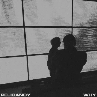 Why by Pelicandy