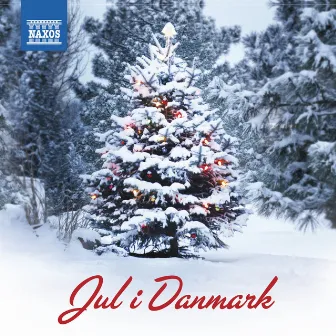 Jul i Danmark by Solvieg Agren