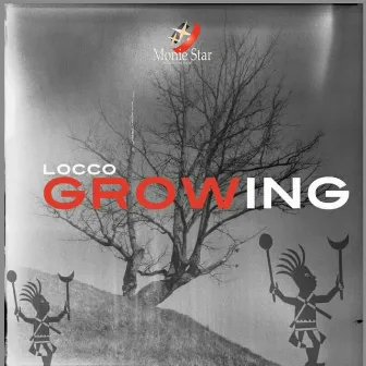 Growing by Locco